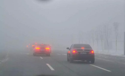 5cd1503d9322f.jpg 3_18.jpg